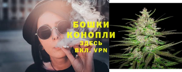 PSILOCYBIN Зеленокумск