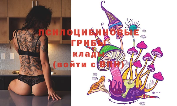 PSILOCYBIN Зеленокумск
