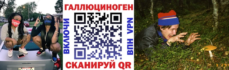 Купить  Костомукша  Галлюциногенные грибы GOLDEN TEACHER 